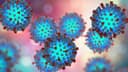Measles cases in U.S. in 2026?