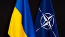Ukraine agrees not to join NATO by March 31?